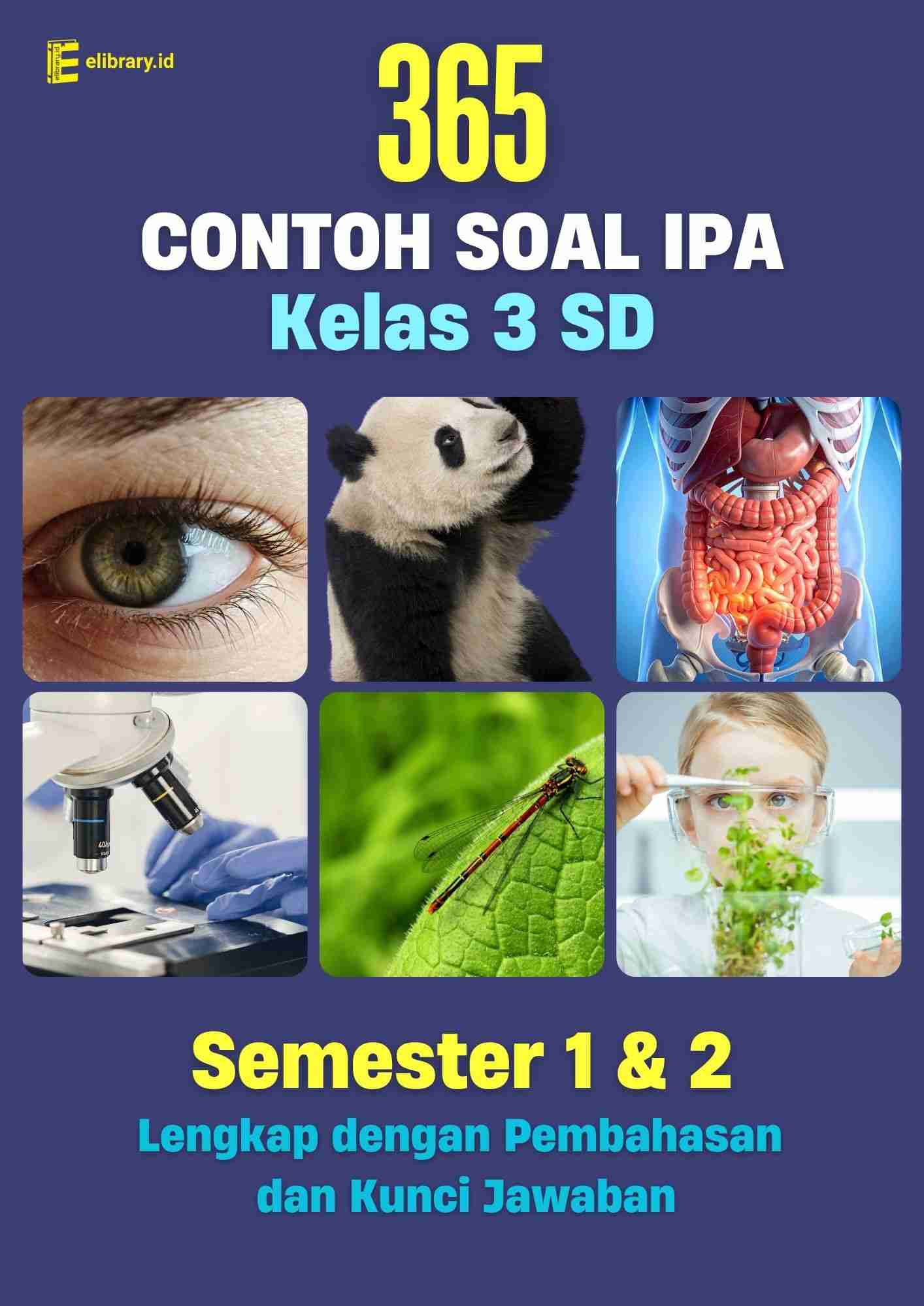 Rahasia Lulus Ujian dengan 15 Contoh Soal C1 C2 C3 IPA Kelas 3 yang Wajib Diketahui Siswa