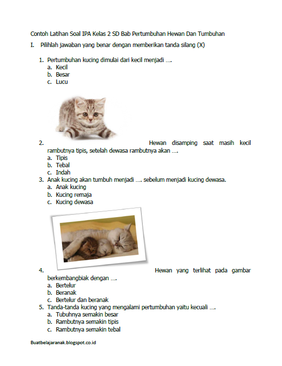 Rahasia Nilai Sempurna dengan Contoh Soal Latihan IPA Kelas 2 SD Tentang Binatang Terbaru