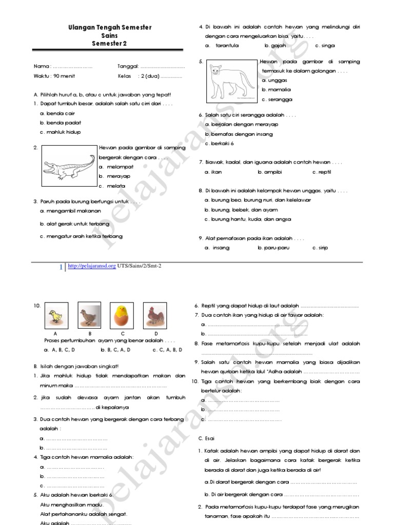 Wajib Tahu! Ini Kumpulan Contoh Soal Latihan IPA Kelas 2 SD Semester 2 Terbaru